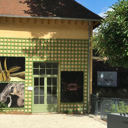 Charmante Maison Bourguignonne Avec Grand Jardin Et Parking Montbard Esterno foto