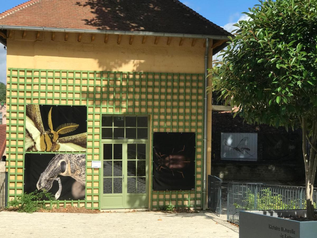 Charmante Maison Bourguignonne Avec Grand Jardin Et Parking Montbard Esterno foto